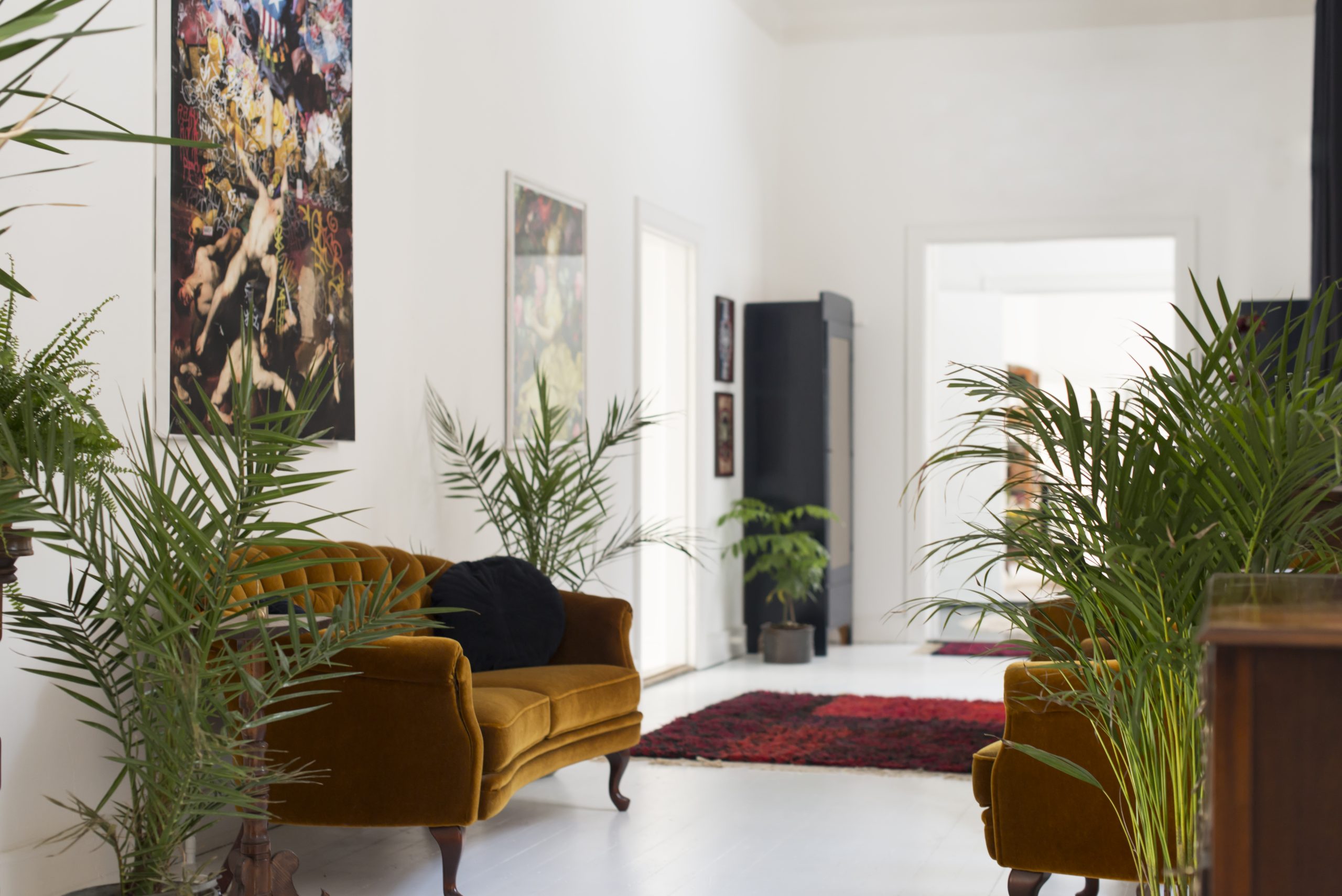 The art of decoration